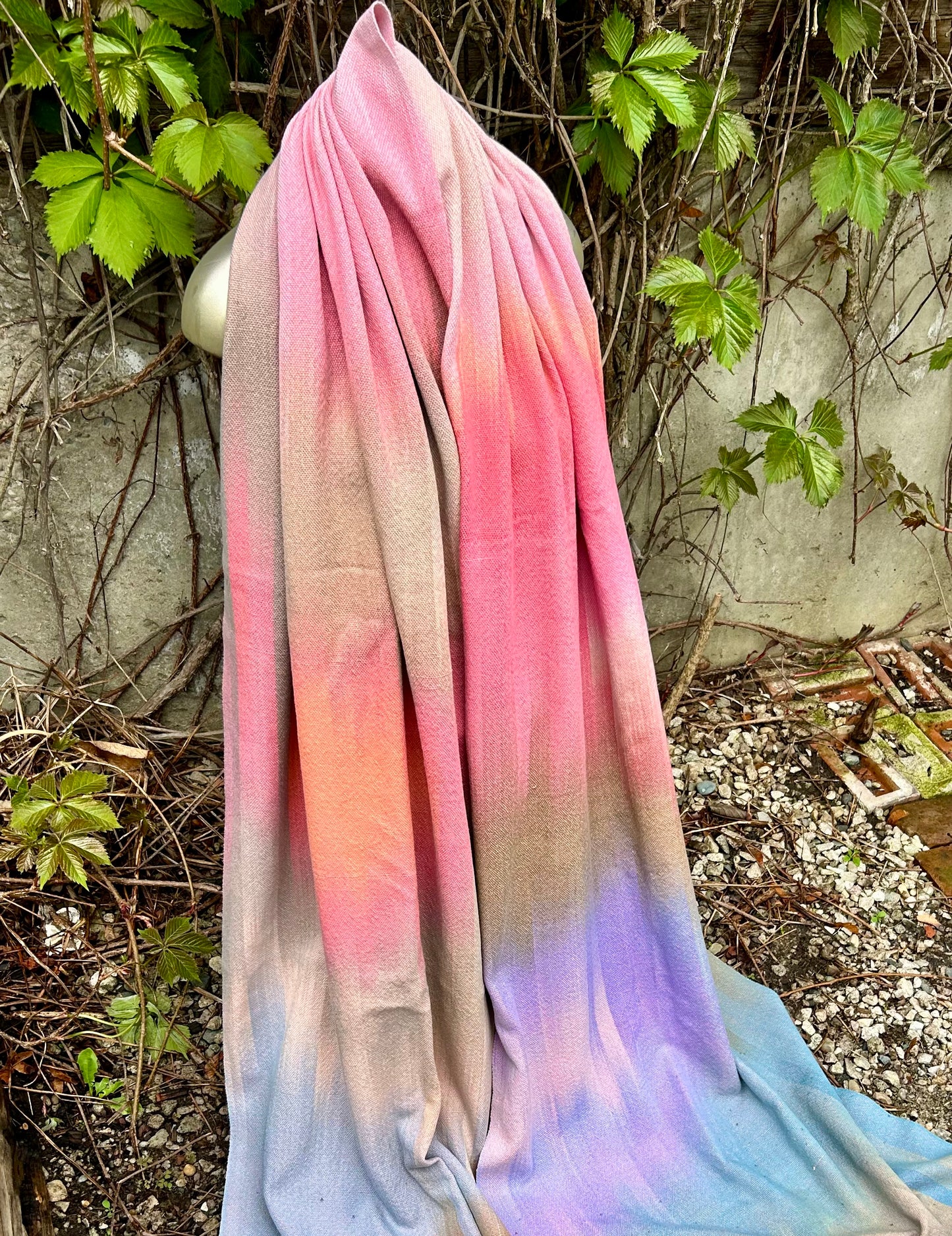 Pegasus (Coral)
