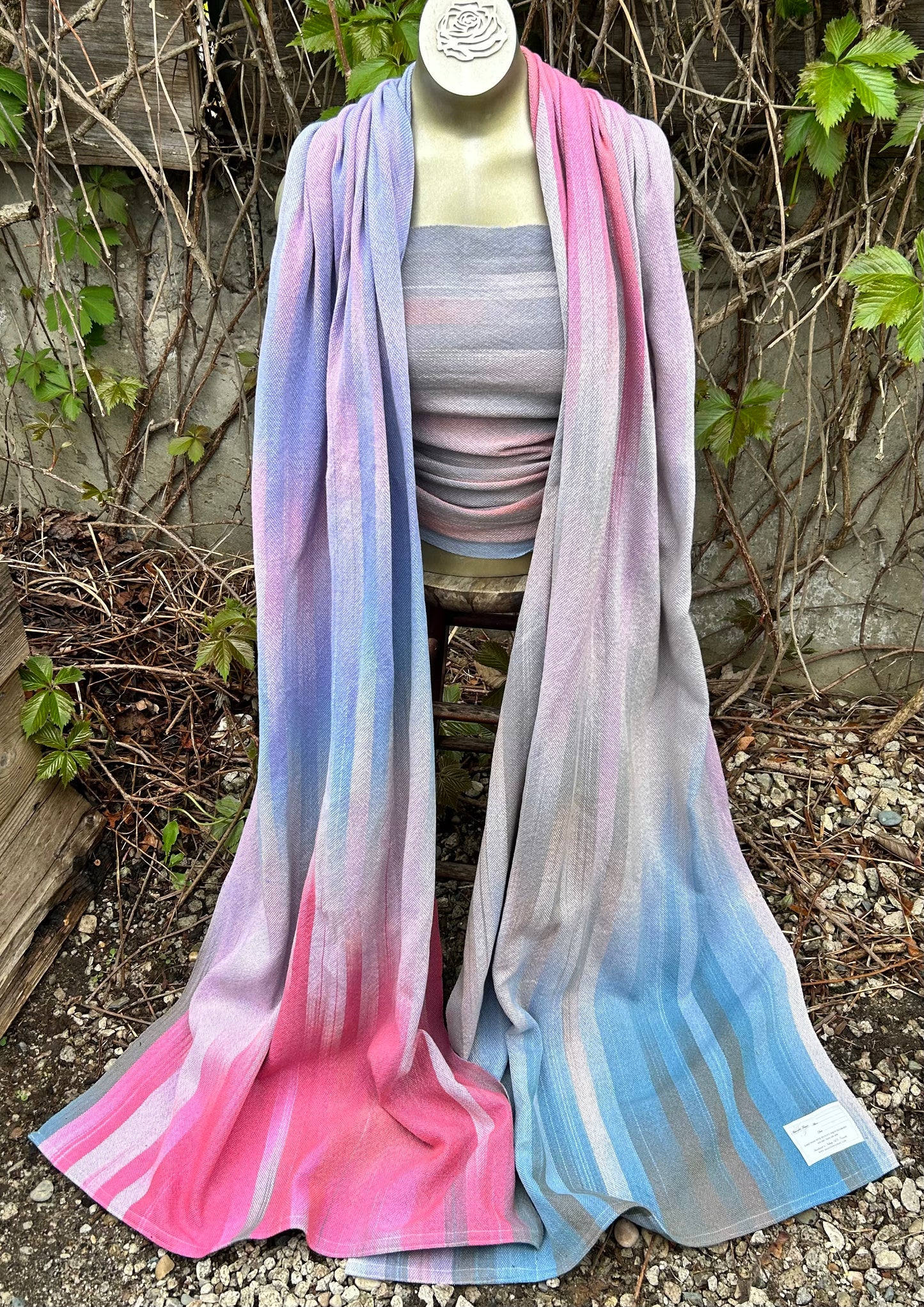 Pegasus (Periwinkle)
