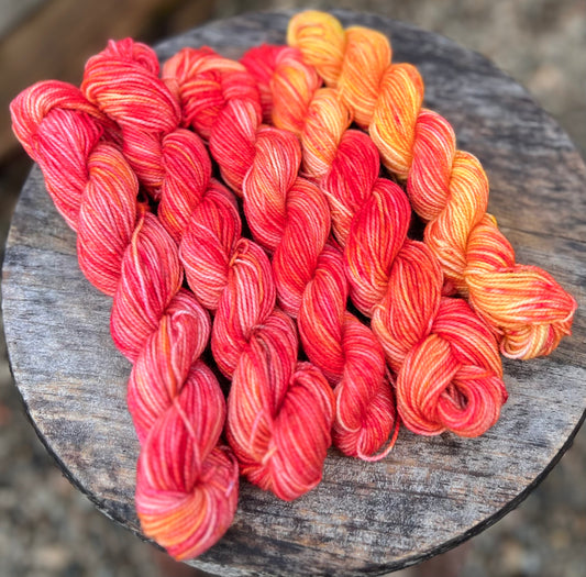 SW Merino Sock Mini Set