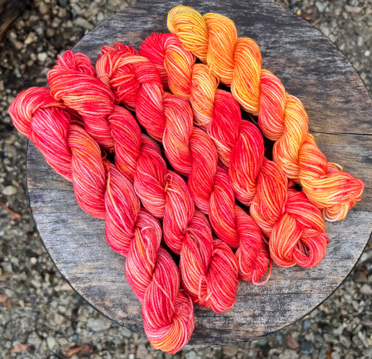 SW Merino Sock Mini Set